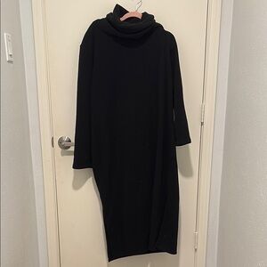 Black Long Sleeve Turtleneck Dress